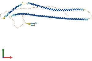 Protein Structure (PS) image for Keratin 27 (KRT27) (AA 1-448) protein (His tag) (ABIN7556457)