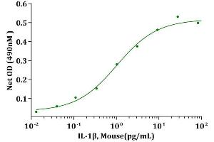 IL-1β, Mouse stimulates cell proliferation of D10S cells. (IL-1 beta 蛋白)