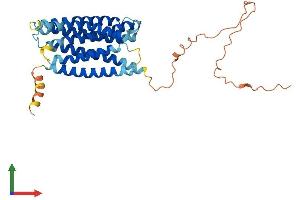 Protein Structure (PS) image for G Protein-Coupled Receptor, Family C, Group 5, Member D (GPRC5D) (AA 1-344) protein (His tag) (ABIN7561549)