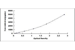 Typical standard curve (TNFAIP2 ELISA 试剂盒)