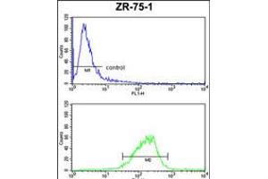 Flow cytometric analysis of ZR-75-1 cells (bottom histogram) compared to a negative control cell (top histogram). (COX6A1 抗体  (AA 50-78))