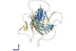 Protein Structure (PS) image for Kinesin Family Member 1C (KIF1C) (AA 1-1103) protein (His tag) (ABIN7554380)