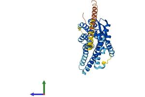 Protein Structure (PS) image for Angiotensin II Receptor, Type 2 (AGTR2) (AA 1-363) protein (His tag) (ABIN7563166)