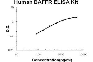 Human TNFRSF13C/BAFFR Accusignal ELISA Kit Human TNFRSF13C/BAFFR AccuSignal ELISA Kit standard curve. (TNFRSF13C ELISA 试剂盒)