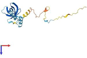 EIF1AD Protein (AA 1-170) (His tag)