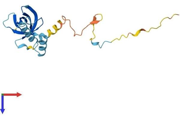 EIF1AD Protein (AA 1-170) (His tag)