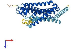 AlphaFold protein structure predicition of Mouse Recombinant Olfr141 Protein, UniprotID Q60880 (Olfr141 Protein (AA 1-325) (His tag))