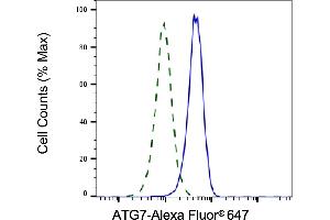 Validation of ATG7 knockdown using flow cytometry. (Recombinant ATG7 抗体)