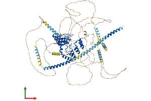 Protein Structure (PS) image for Protein Phosphatase 1, Regulatory Subunit 12B (PPP1R12B) (AA 1-982) protein (His tag) (ABIN7554664)
