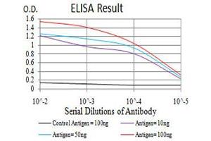 Black line: Control Antigen (100 ng),Purple line: Antigen (10 ng), Blue line: Antigen (50 ng), Red line:Antigen (100 ng) (SH3GL1 抗体  (AA 12-119))