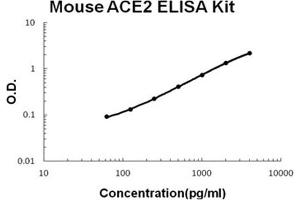 Mouse ACE2 PicoKine ELISA Kit standard curve (ACE2 ELISA 试剂盒)