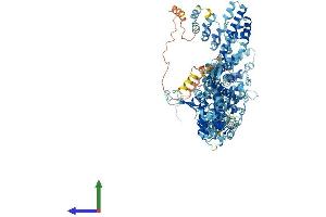 Protein Structure (PS) image for Transient Receptor Potential Cation Channel, Subfamily A, Member 1 (TRPA1) (AA 1-1125) protein (His tag) (ABIN7564386)