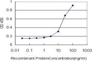 Detection limit for recombinant GST tagged NR1D1 is approximately 3ng/ml as a capture antibody. (NR1D1 抗体  (AA 1-614))