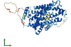 Protein Structure (PS) image for Solute Carrier Family 7, (Cationic Amino Acid Transporter, Y+ System) Member 11 (SLC7A11) (AA 1-501) protein (His tag) (ABIN7545204)