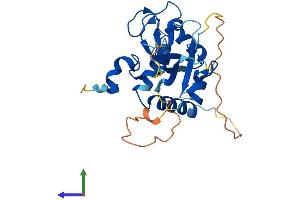 Protein Structure (PS) image for Polycomb Group Ring Finger 5 (PCGF5) (AA 1-256) protein (His tag) (ABIN7557215)