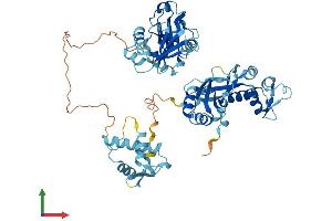 AlphaFold protein structure predicition of Mouse Recombinant Eif2d Protein, UniprotID Q61211