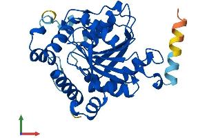Protein Structure (PS) image for Spastic Paraplegia 21 (SPG21) (AA 1-308) protein (His tag) (ABIN7546227)