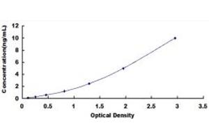 Typical standard curve (DNMT3B ELISA 试剂盒)