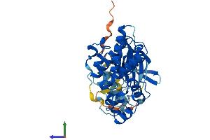AlphaFold protein structure predicition of Mouse Recombinant Mapk8 Protein, UniprotID Q91Y86