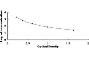 Typical standard curve (Relaxin 1 ELISA 试剂盒)