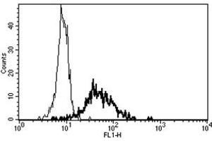 Flow Cytometry (FACS) image for anti-Alanyl (Membrane) Aminopeptidase (ANPEP) antibody (FITC) (ABIN1105839) (CD13 抗体  (FITC))