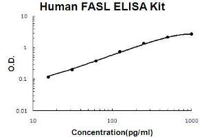 Human FASL PicoKine ELISA Kit standard curve (FASL ELISA 试剂盒)