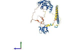 AlphaFold protein structure predicition of Human Recombinant DBNL Protein, UniprotID Q9UJU6