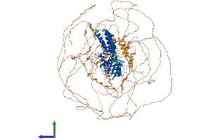 Protein Structure (PS) image for Pleckstrin Homology Domain Containing, Family G (With RhoGef Domain) Member 2 (PLEKHG2) (AA 1-1386) protein (His tag) (ABIN7554954)