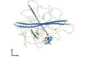 AlphaFold protein structure predicition of Mouse Recombinant Phldb2 Protein, UniprotID Q8K1N2