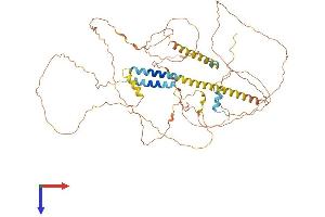 AlphaFold protein structure predicition of Human Recombinant TMEM200C Protein, UniprotID A6NKL6