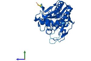 AlphaFold protein structure predicition of Human Recombinant LACTB2 Protein, UniprotID Q53H82