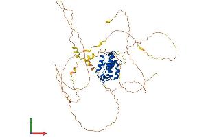 Protein Structure (PS) image for Forkhead Box N4 (FOXN4) (AA 1-521) protein (His tag) (ABIN7564657)