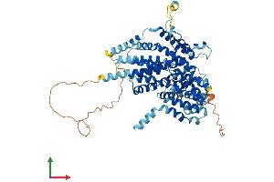 AlphaFold protein structure predicition of Mouse Recombinant Slc13a3 Protein, UniprotID Q91Y63 (SLC13A3 Protein (AA 1-600) (His tag))