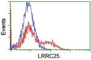 HEK293T cells transfected with either RC209911 overexpress plasmid (Red) or empty vector control plasmid (Blue) were immunostained by anti-LRRC25 antibody (ABIN2455890), and then analyzed by flow cytometry. (LRRC25 抗体)