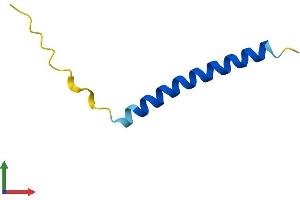 Protein Structure (PS) image for Phorbol-12-Myristate-13-Acetate-Induced Protein 1 (PMAIP1) (AA 1-54) protein (Fc Tag) (ABIN7552197)