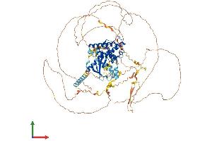 Protein Structure (PS) image for Growth Arrest-Specific 2 Like 2 (GAS2L2) (AA 1-860) protein (His tag) (ABIN7557530)