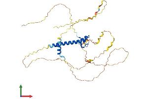 AlphaFold protein structure predicition of Human Recombinant DMRTC2 Protein, UniprotID Q8IXT2
