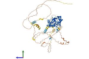 Protein Structure (PS) image for Cell Division Cycle 25 Homolog B (S. Pombe) (CDC25B) (AA 1-580) protein (His tag) (ABIN7549456)