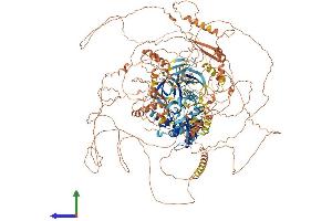 Protein Structure (PS) image for Nik Related Kinase (NRK) (AA 1-1582) protein (His tag) (ABIN7554764)