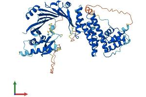 Protein Structure (PS) image for Zwilch, Kinetochore Associated, Homolog (ZWILCH) (AA 1-591) protein (His tag) (ABIN7545843)
