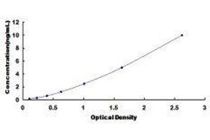 Neuregulin 2 (NRG2) ELISA Kit