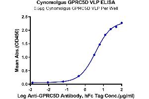 GPRC5D Protein-VLP (AA 1-300)