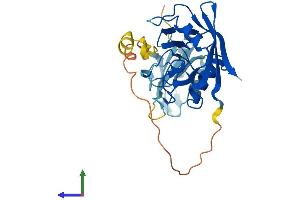 Protein Structure (PS) image for Peptidylprolyl Isomerase E (Cyclophilin E) (PPIE) (AA 1-301) protein (His tag) (ABIN7550862)