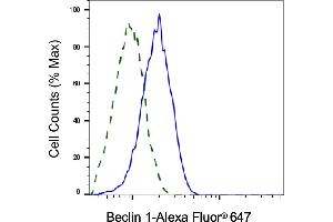 Validation of Beclin 1 knockdown using flow cytometry. (Recombinant Beclin 1 抗体)