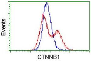 HEK293T cells transfected with either RC208947 overexpress plasmid (Red) or empty vector control plasmid (Blue) were immunostained by anti-CTNNB1 antibody (ABIN2454168), and then analyzed by flow cytometry. (CTNNB1 抗体)