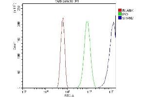 Flow Cytometry analysis of Neuro-2a cells using anti-SCG10/STMN2 antibody (ABIN7600734).