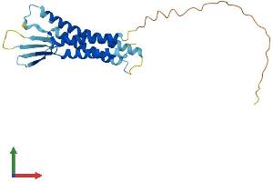 Protein Structure (PS) image for Claudin 2 (CLDN2) (AA 1-230) protein (His tag) (ABIN7562626)