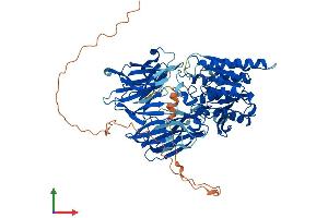 Protein Structure (PS) image for Prolyl Endopeptidase Like Protein (PREPL) (AA 1-725) protein (His tag) (ABIN7559100)