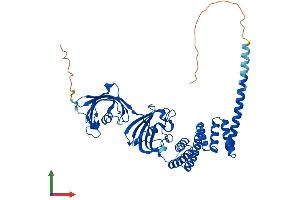 AlphaFold protein structure predicition of Human Recombinant FKBP4 Protein, UniprotID Q02790