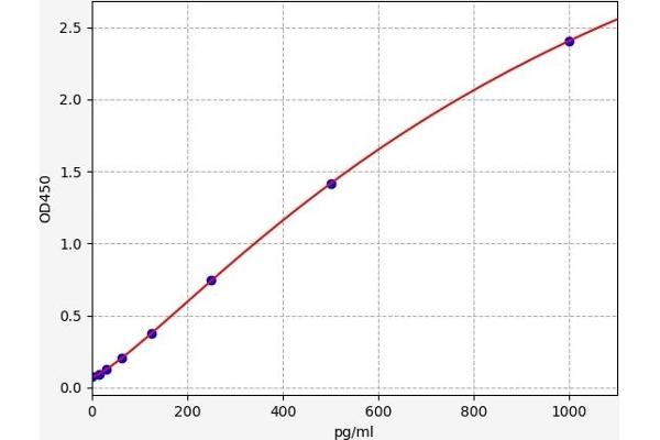 ALOX5AP ELISA 试剂盒
